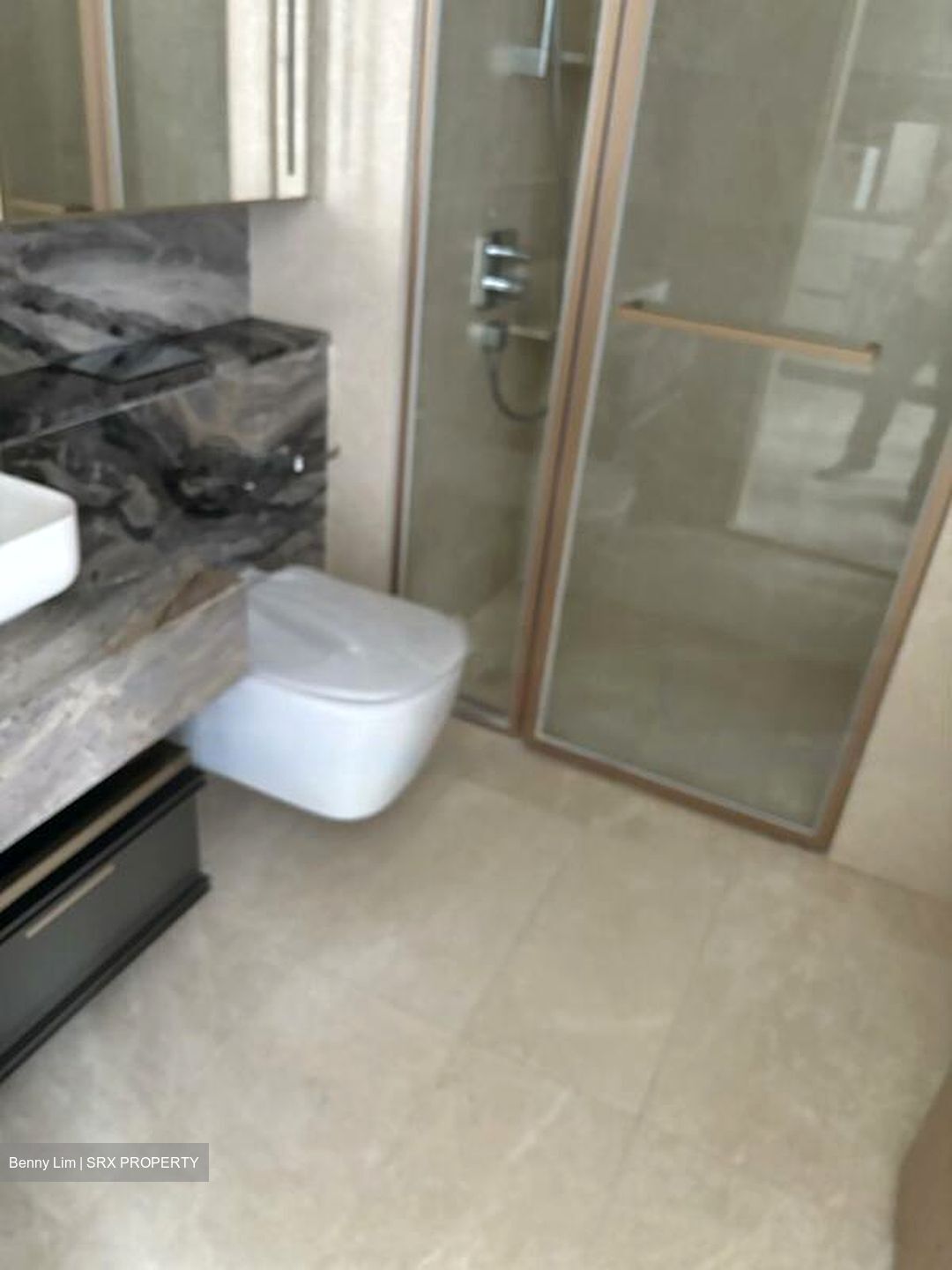 The Avenir (D9), Condominium #438390721